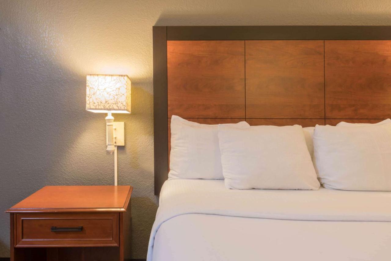 La Quinta Inn & Suites By Wyndham San Antonio Riverwalk Eksteriør bilde